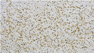 Gold 771G