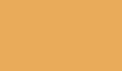 E WL-21 (Ocker)Oxydgelb